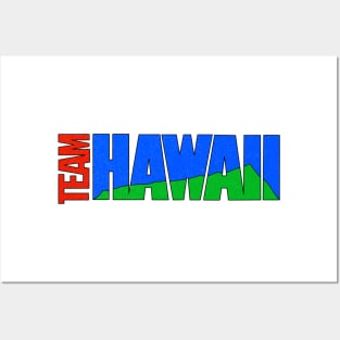 Defunct Team Hawaii Soccer Posters and Art